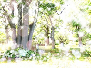 bea24fe784ed8fe98c8281e42c790a0f_s